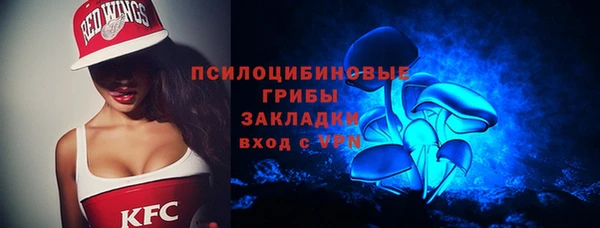 тгк Богданович