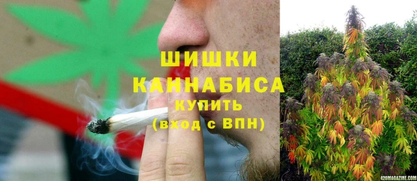 хмурый Бородино
