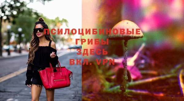 ПСИЛОЦИБИНОВЫЕ ГРИБЫ Богородск