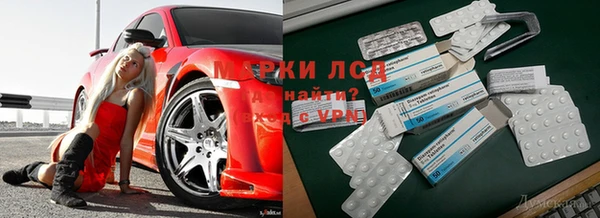 хмурый Бородино